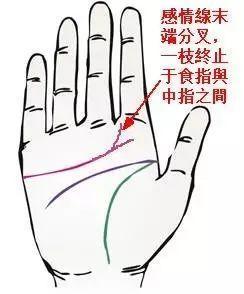手心写满了故事