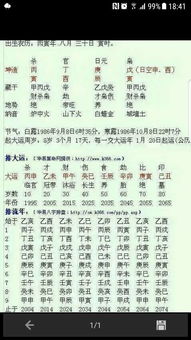 一、前言与背景