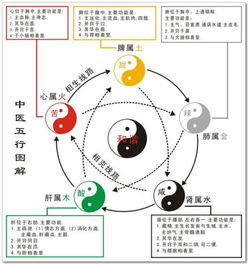亥的五行属性是啥？