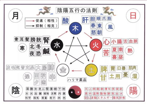 2. 五行调和：用风水较小物化解伤官锋芒