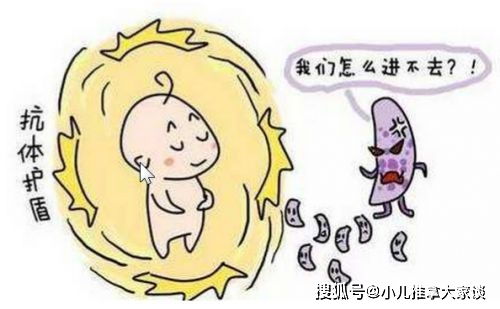 2026年的天气小贴士