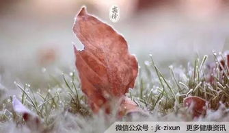 风水较小贴士：摆放与进食同频共振