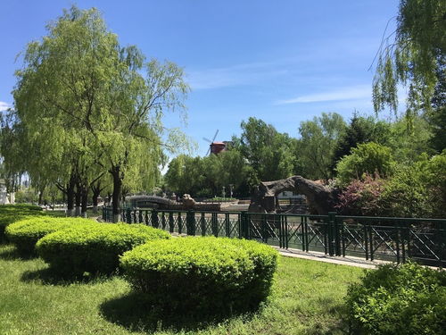 门票：市场价格较高得离谱，抢钱呢！