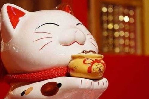 猪女：善意与财富有共舞