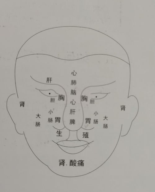 不同诞生日的人的性格特点