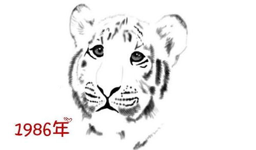 三、 应对之道：化解“太岁”