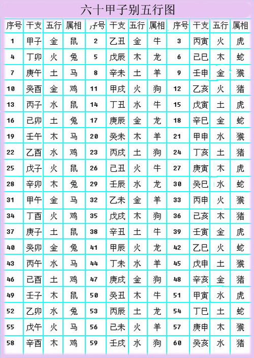 现代化炎热爱情：理性与感性的平衡