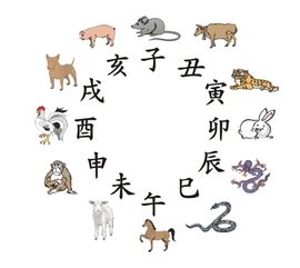 揭秘十二生肖数字背后的奥秘