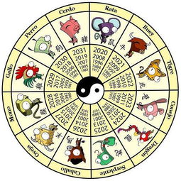 生肖运势与密咒的共振