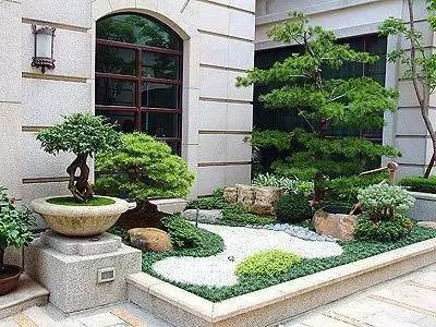 绿化植物：净化空气的神器