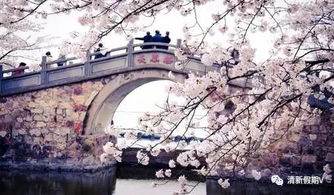 交通指南