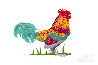 属鸡起名，别让名字像个噪音一样刺耳！
