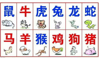 2024年哪些生肖全年运势较良好？详解各生肖运势怎样？