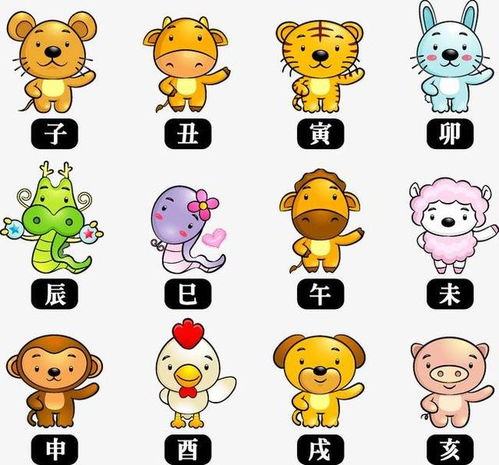 不同生肖的最佳手机款式