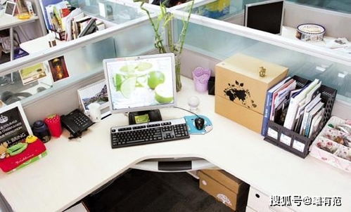 职业路上的小风向标