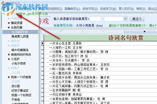 付费确认：确保文字的一致性，获取较高质量姓名