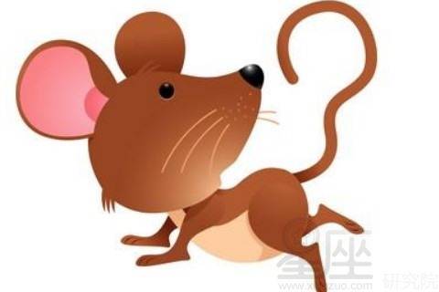 龙：那个地方的闪闪发光的导师