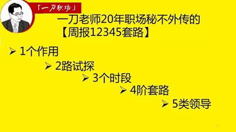 属牛的“踏实肯干”