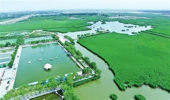 二、景区实况：美得冒泡还是坑得吐血？