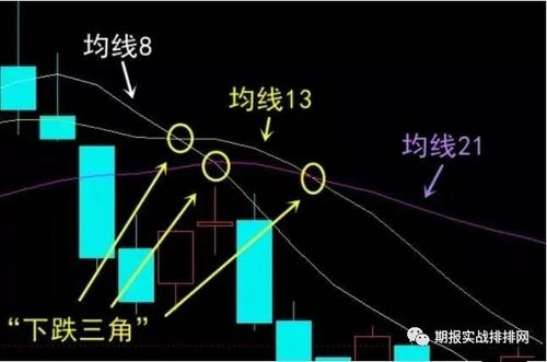 生肖与命格交叉点