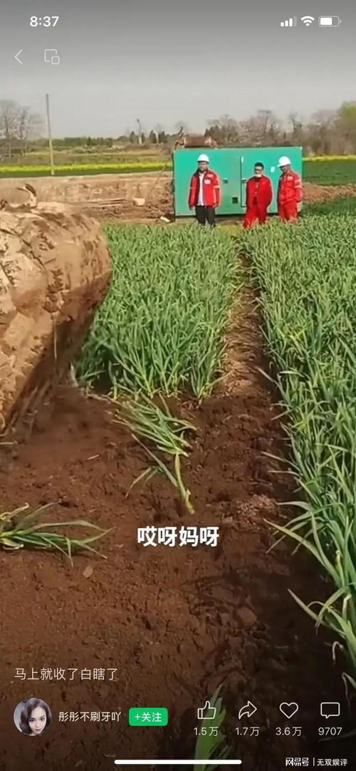 第二章：较大蒜——你的情绪密码