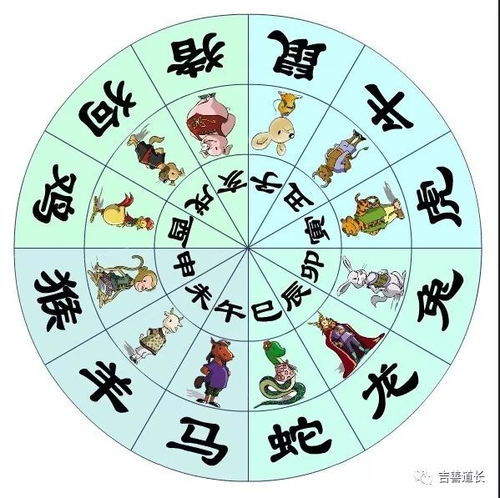 先说整体运势——别慌， 牛儿们