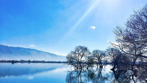 据预测：2026年5月15日宜修理房屋；忌入宅搬迁...