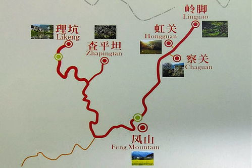 第二天：穿越安阳，历史持续发展感爆棚到你脸发麻！
