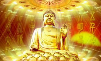 先说整体氛围——佛灯火年到底是啥意思？