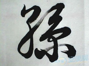 独特而优美的名字