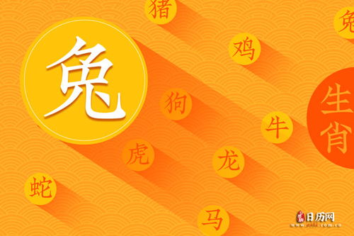 属兔人2023年结婚的那一些事儿