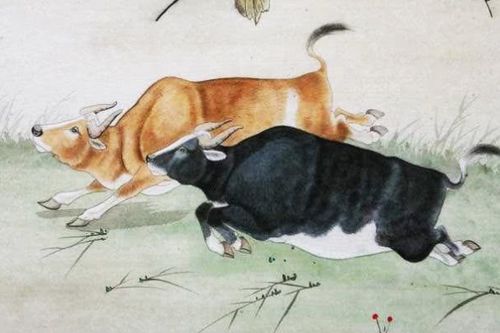 “砥打一动物生肖”， 到底指哪只