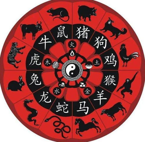 生肖牛适合用哪些字？