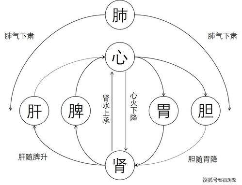 气的分类