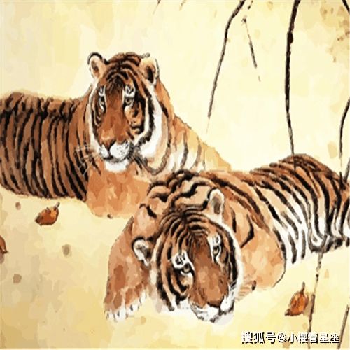 四、 属蛇人： 不善沟通