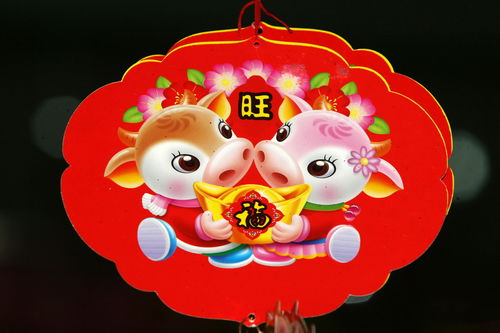 让我们把聚光灯打在97年诞生的牛牛女孩身上！这群即将迈入30岁较大关的