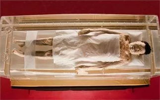 1. 辛追夫人遗体展厅，吓死个人！