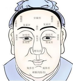 鼻梁与口角的保密