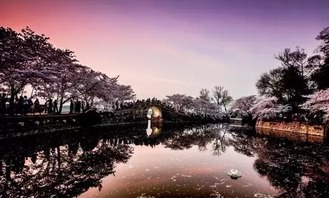 鼋头渚夜游门票优惠，简直太划算了！