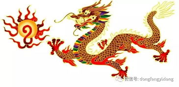 龙——潜力无限的“隐形人”