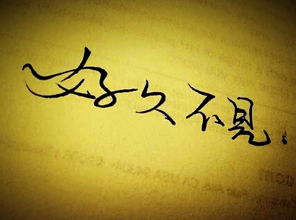 一、 工作压力与情绪的积压