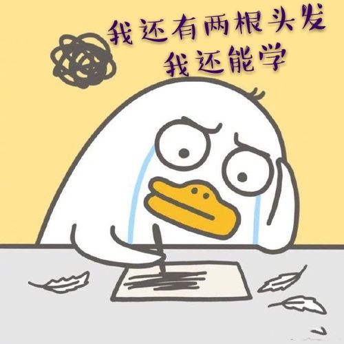 1. 鼠年男孩的专属