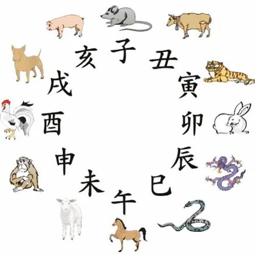 天肖的特点和象征意义