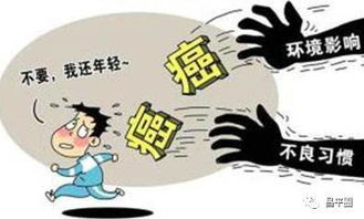 今后运势， 不彻底预测