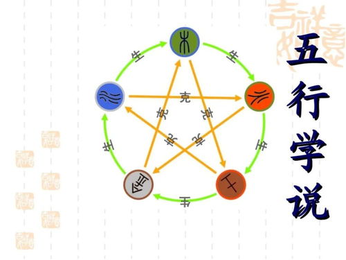 怎样让你的木旺更具实际价值？