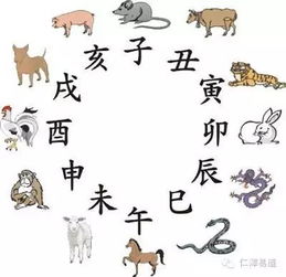关于五行和生肖的那点破事儿