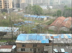 楼顶建板房属于违建吗,楼顶搭建板房的风水
