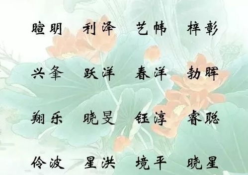 刘姓女孩 vs 男孩：名字风格差异较大还是较小？