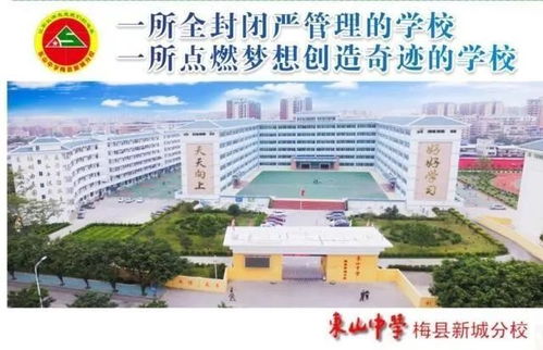 黄历与天气：2026年的特殊日子
