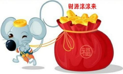 关于身体健康状况